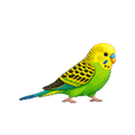 セキセイインコのアイコン