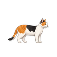 三毛猫のアイコン