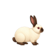 ヒマラヤンうさぎのアイコン