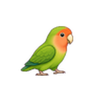 コザクラインコのアイコン