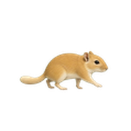 マカロニマウスのアイコン