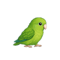 マメルリハのアイコン