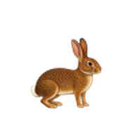うさぎのアイコン