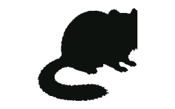 アフリカヤマネのシルエット